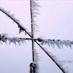 Mist and frost VII: Frosted barbed wire