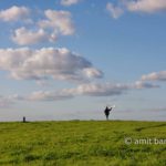 Model airplane with clouds: Model airplane with clouds