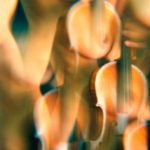 Multiplied violins: Nude model with a violin in my studio