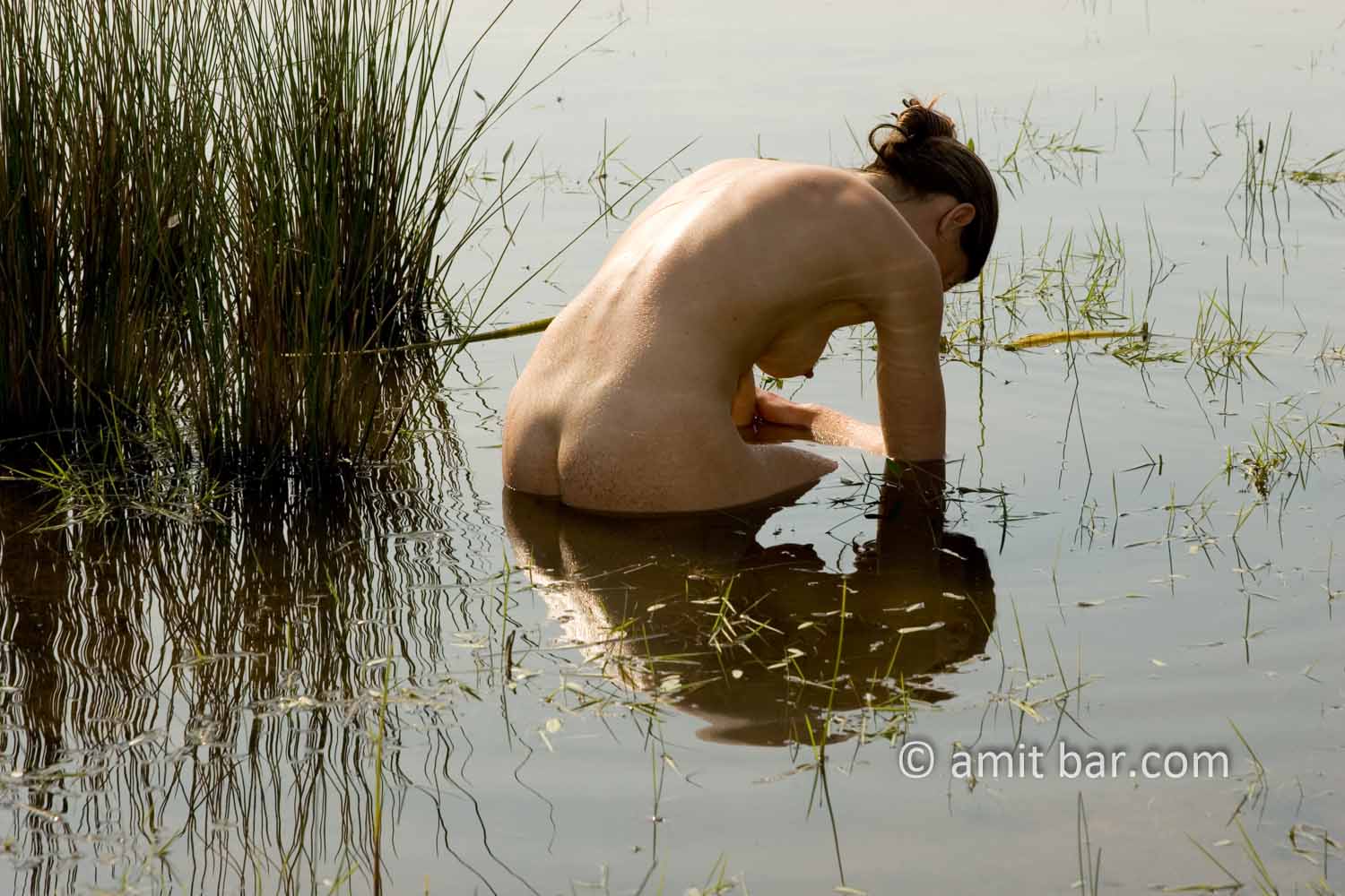 Nude in water. Nude model in shallow water