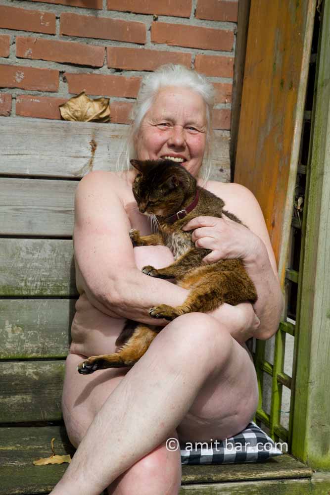 Old cat: Old cat in hands of his owner