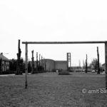 Opposition: A lane of drastic trimmed trees looking at a goal on play-yard