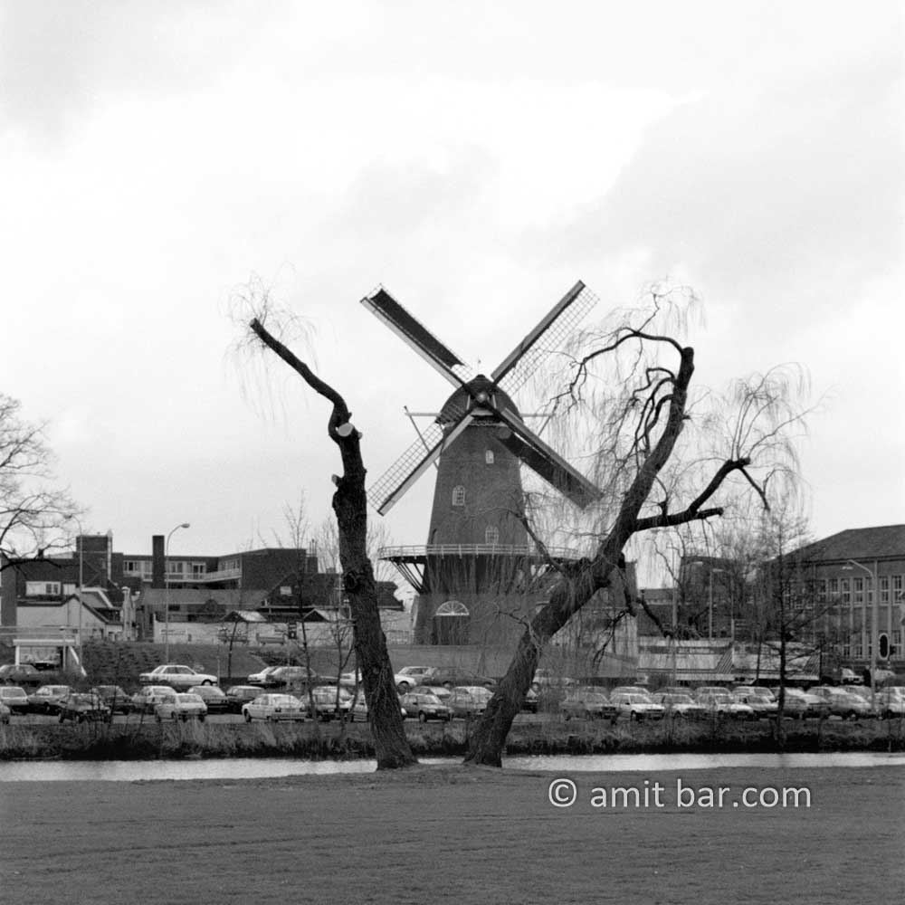 Parallel: The wings of the Walmolen windmill in Doetinchem, The Netherlands turning parallel to the branches of a willow tree on the other side of the Old IJssel river.