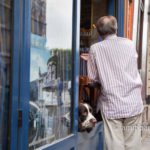 Paris: Big dog: Paris snapshot