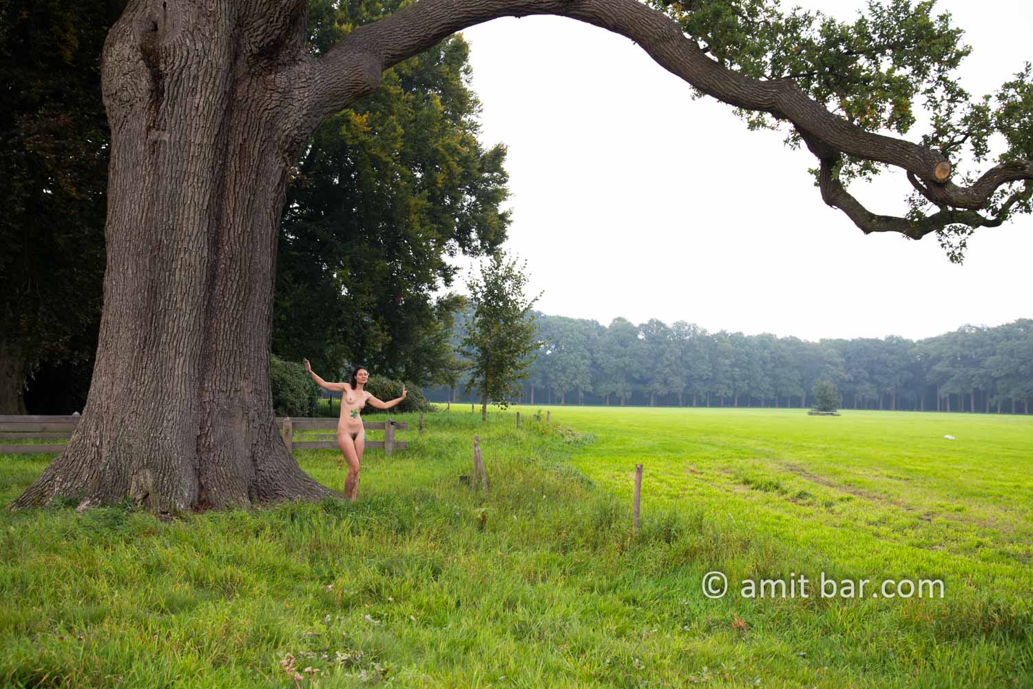 Pastoral Idyll II: A nude model is walking and dancing among the old oak and beech trees beside Ampsen castle, The Netherlands