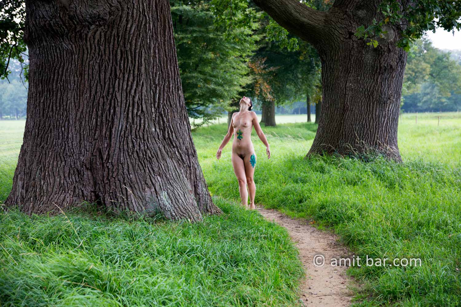Pastoral Idyll III: A nude model is walking and dancing among the old oak and beech trees beside Ampsen castle, The Netherlands