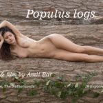 Populus logs video
