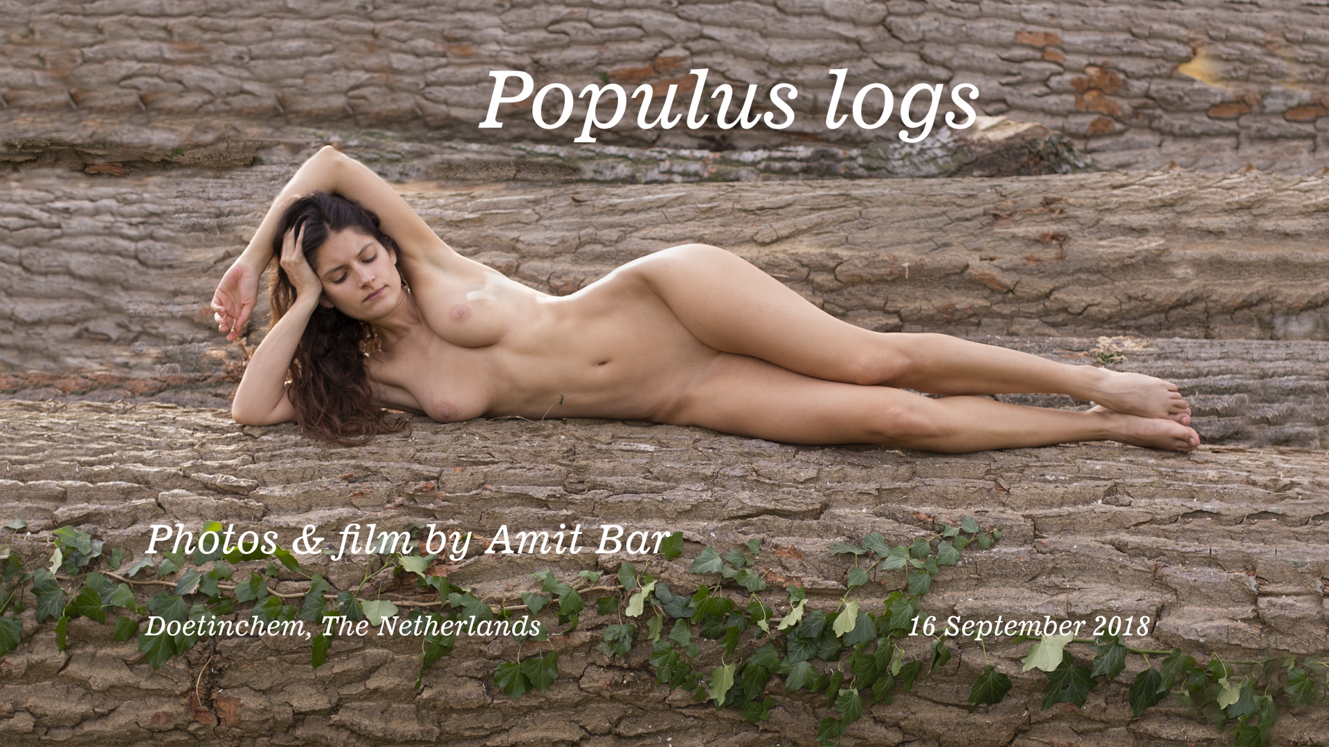Populus logs video