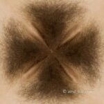 Quatro collage: Four pubic hair encounter