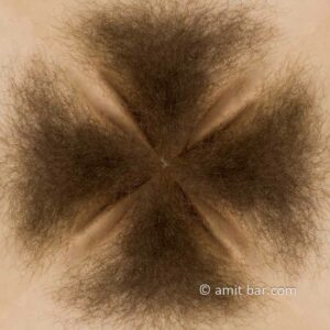 Quatro collage: Four pubic hair encounter
