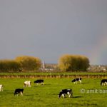 Rainbow above Dieren: Rainbow above DIeren, The Netherlands