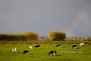 Rainbow above Dieren: Rainbow above DIeren, The Netherlands
