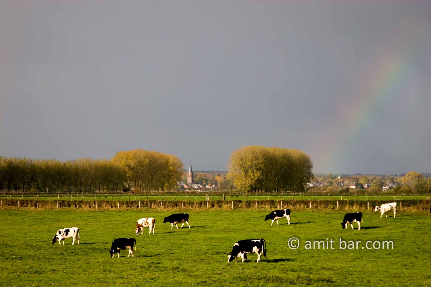Rainbow above Dieren: Rainbow above DIeren, The Netherlands