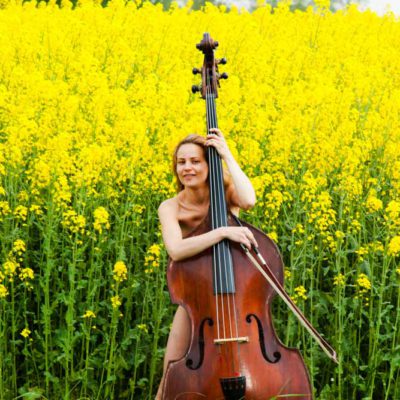 Rapeseed with contrabass player