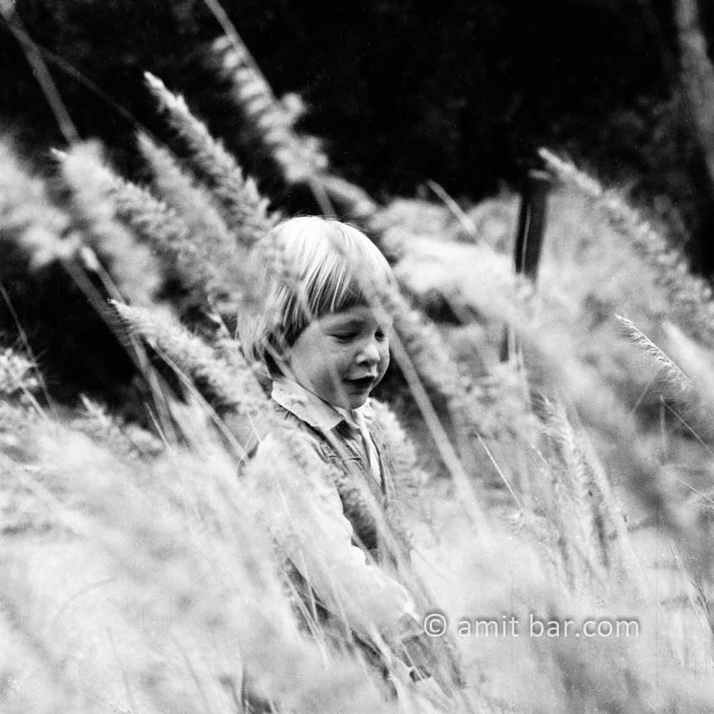 Reed: A boy among reed plants
