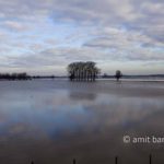 Reflections in flooded river: Reflections in flooded river at Doesburg, the Netherlands