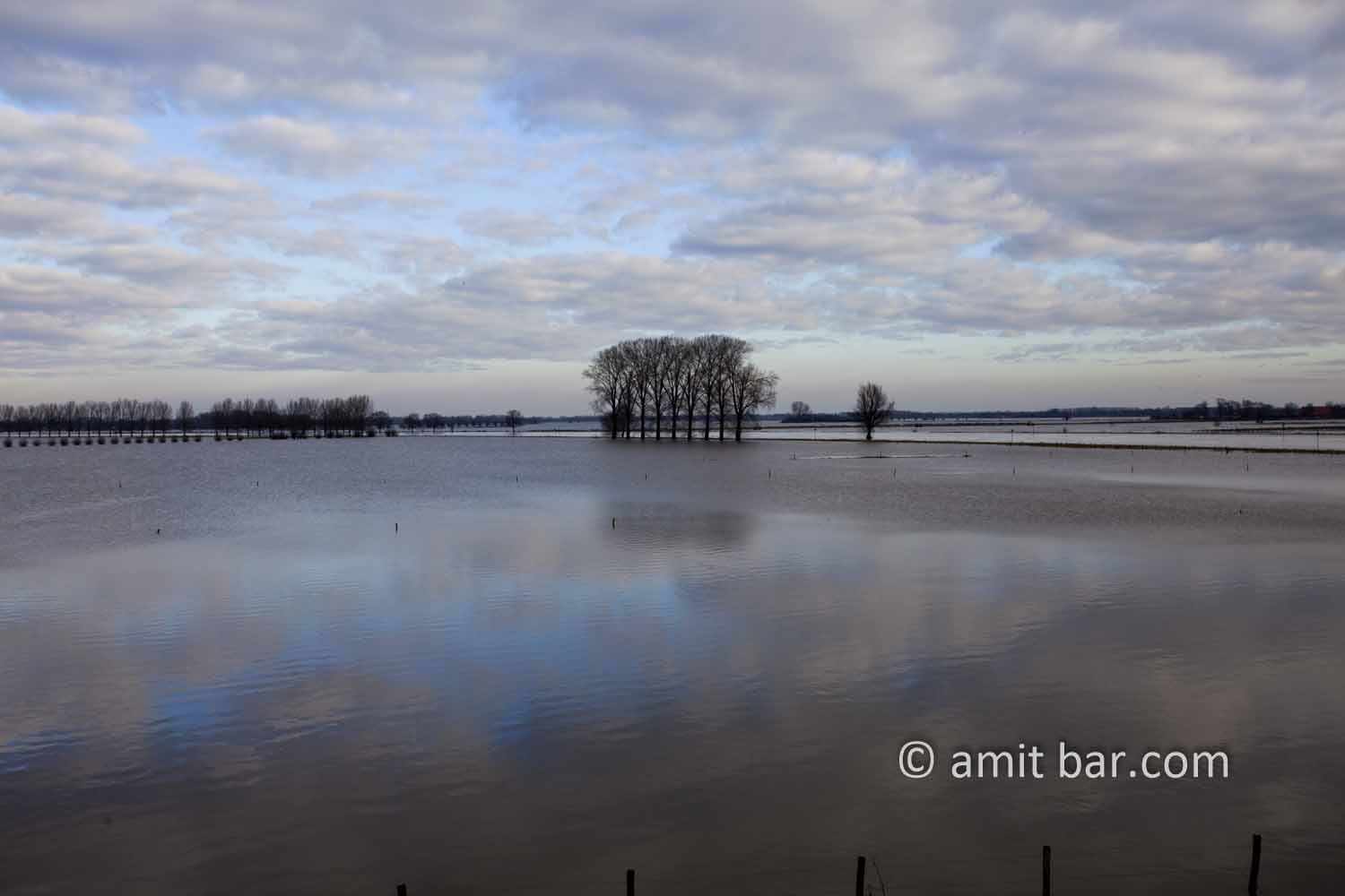 Reflections in flooded river: Reflections in flooded river at Doesburg, the Netherlands