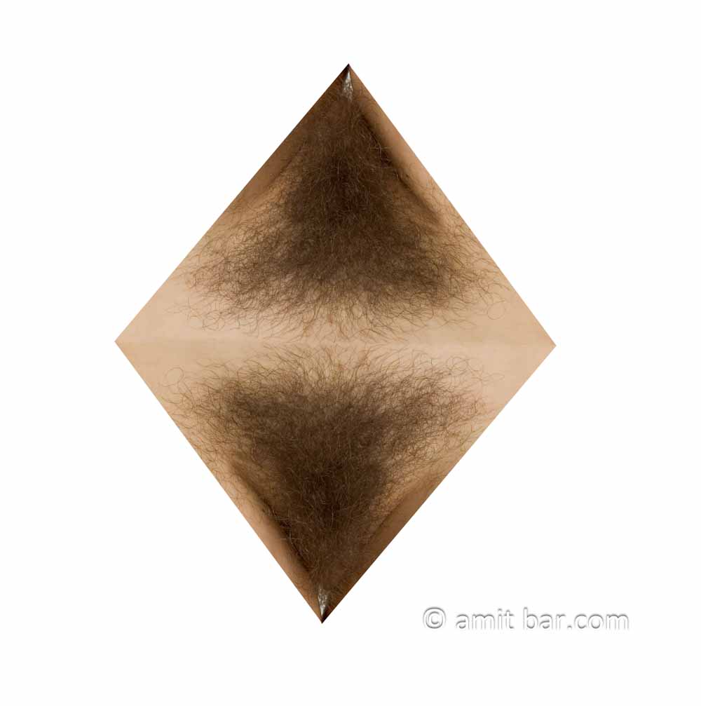 Rhombus collage: Double pubic hair mix