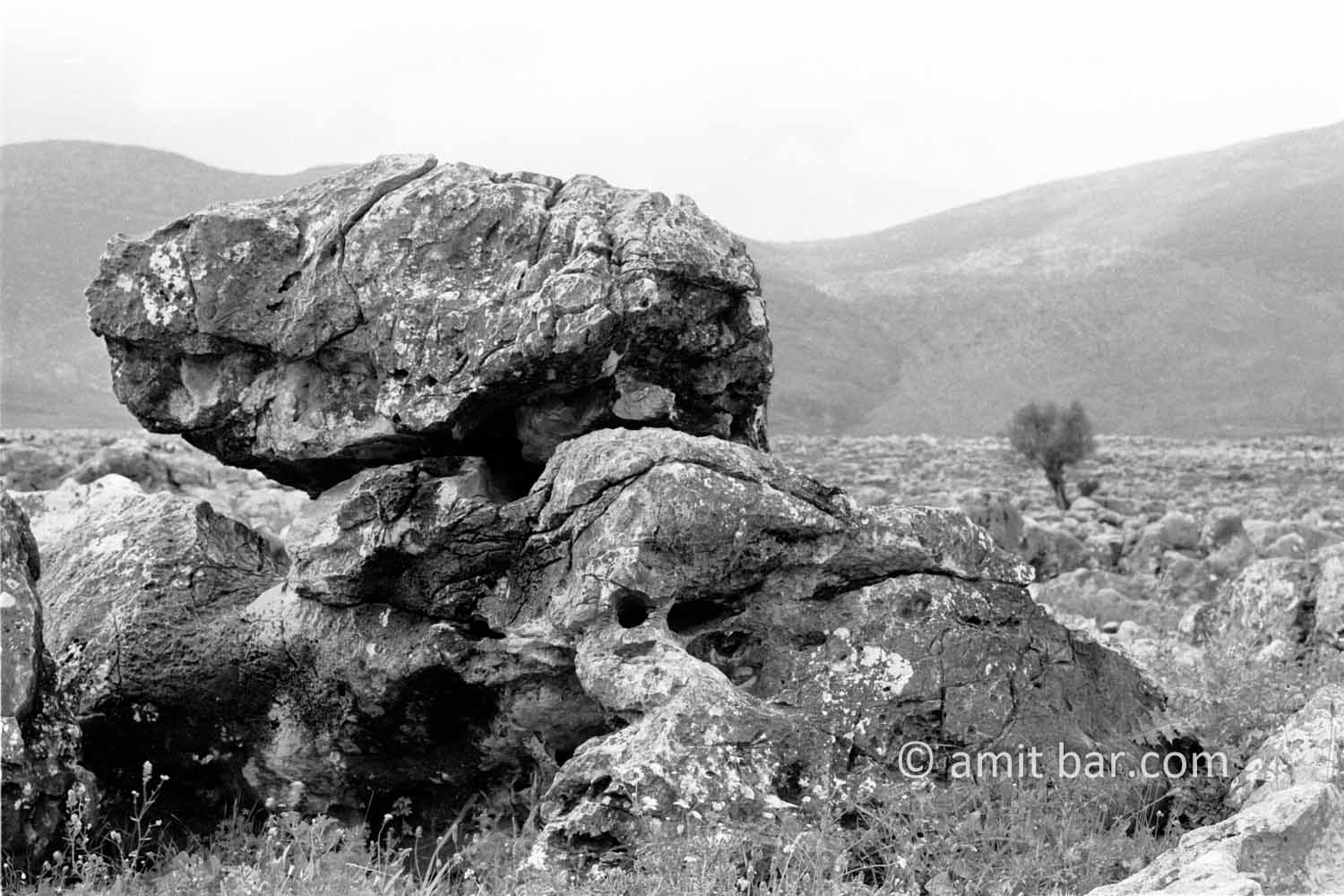 Rocks I: Rock formation at Dir el Assad, Israel