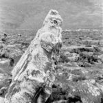 Rocks II: Rock formation at Dir el Assad, Israel