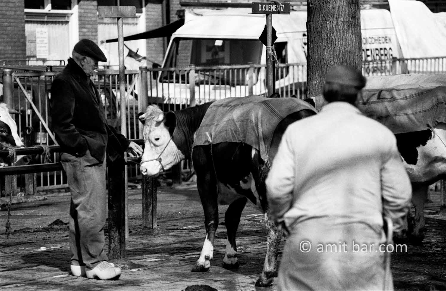 Saying goodbye: A cattle-farmer taking a last look at his cow at the cattle market