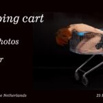 Shopping cart video