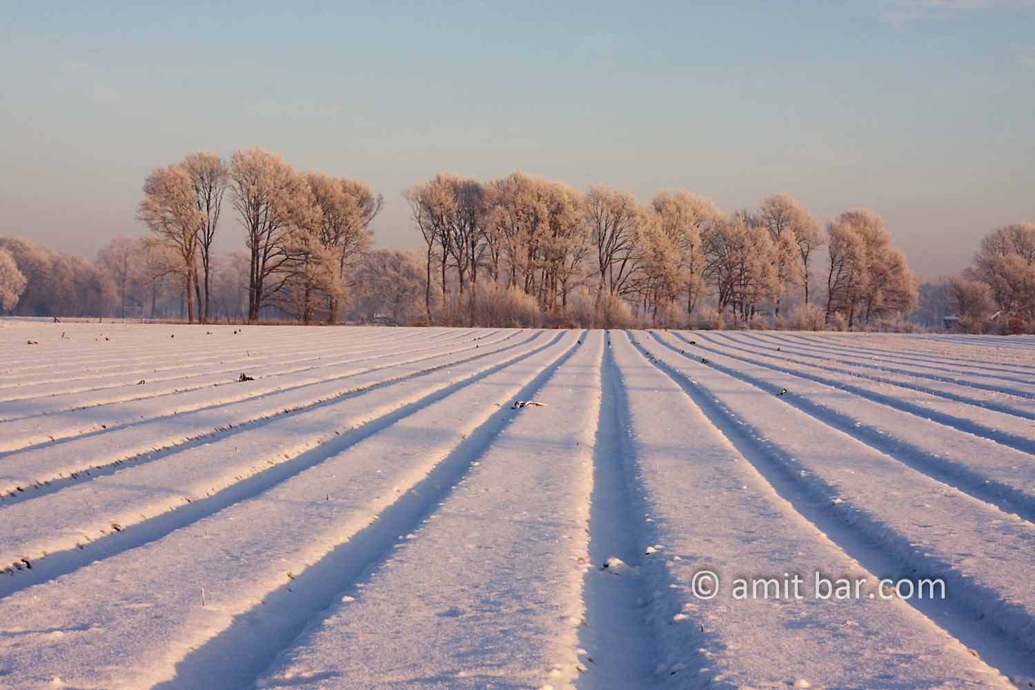 Snow and sun I: Frozen landscape by Zelhem and De Slangeburg, Doetinchem, The Netherlands