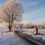 Snow and sun II: Frozen landscape by Zelhem and De Slangeburg, Doetinchem, The Netherlands