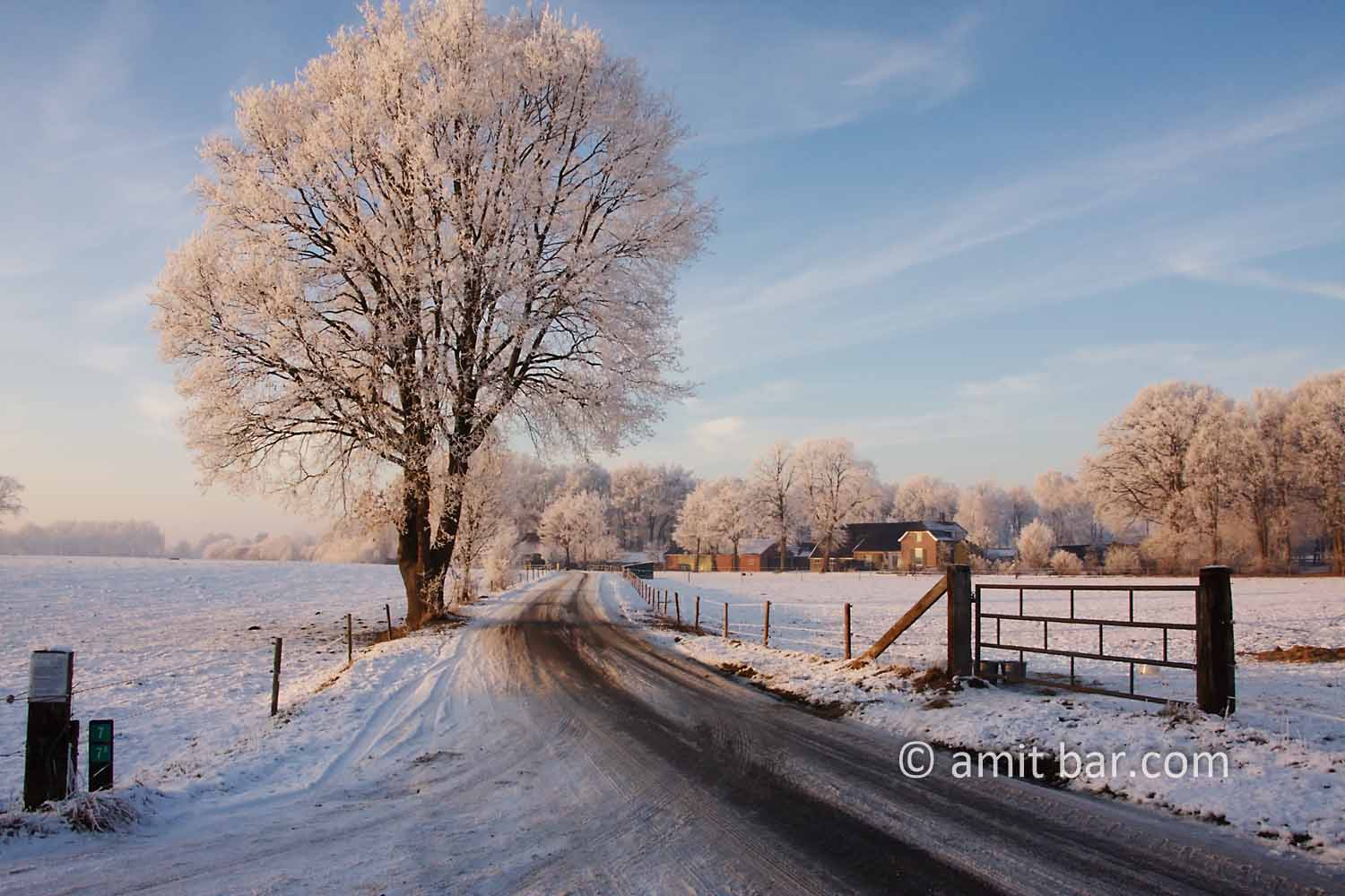 Snow and sun II: Frozen landscape by Zelhem and De Slangeburg, Doetinchem, The Netherlands