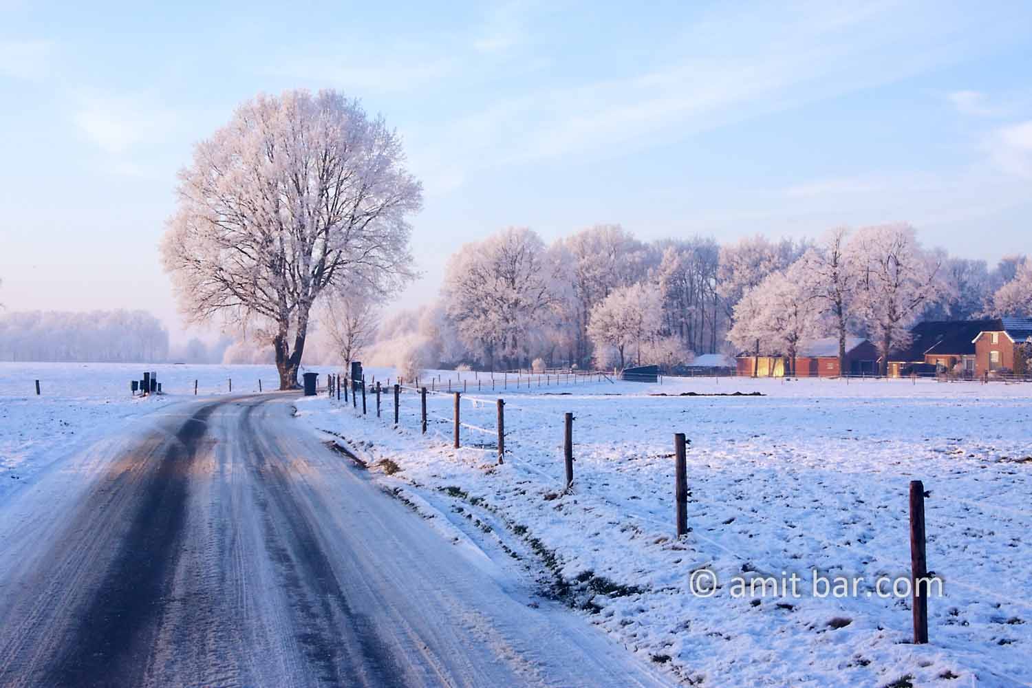 Snow and sun III: Frozen landscape by Zelhem and De Slangeburg, Doetinchem, The Netherlands