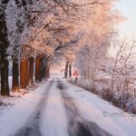 Snow and sun IV: Frozen landscape by Zelhem and De Slangeburg, Doetinchem, The Netherlands