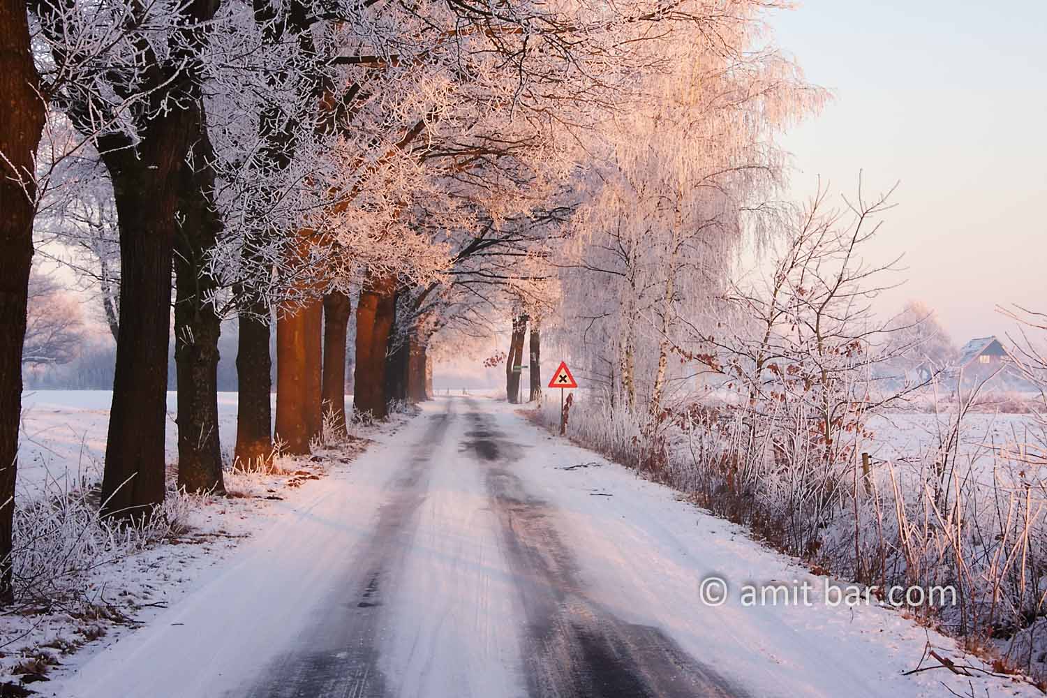 Snow and sun IV: Frozen landscape by Zelhem and De Slangeburg, Doetinchem, The Netherlands