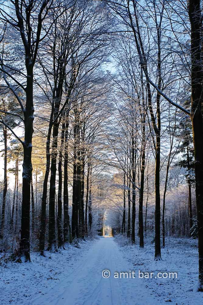 Snow and sun VII: Frozen landscape by Zelhem and De Slangeburg, Doetinchem, The Netherlands
