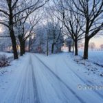 Snow and sun VIII: Frozen landscape by Zelhem and De Slangeburg, Doetinchem, The Netherlands