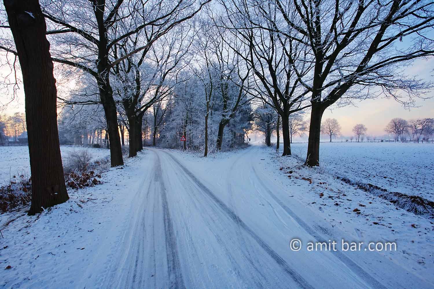 Snow and sun VIII: Frozen landscape by Zelhem and De Slangeburg, Doetinchem, The Netherlands