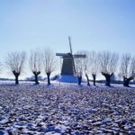 Snowy windmill: Windmill and willows in snow at Bronckhorst, The Netherlands