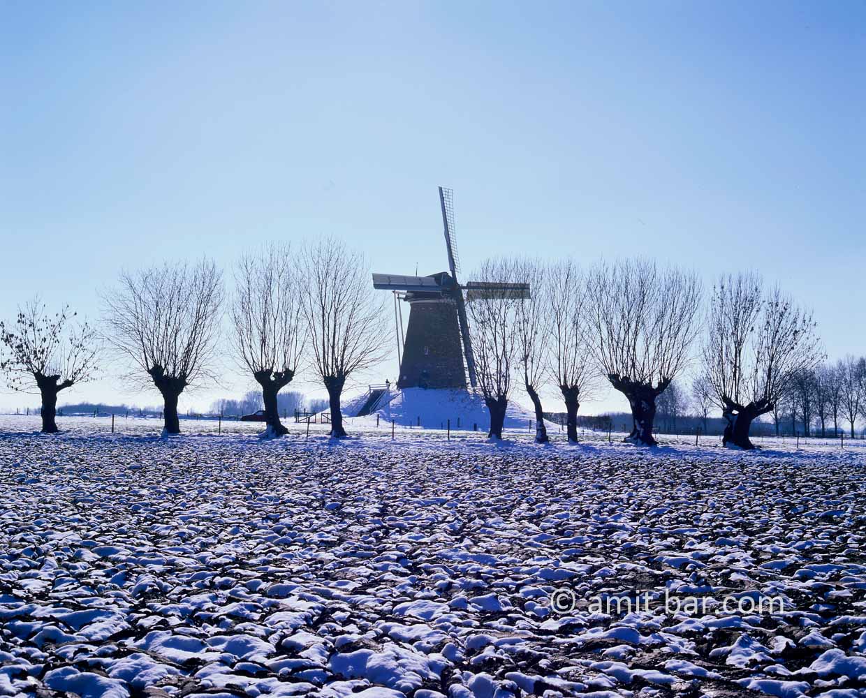 Snowy windmill: Windmill and willows in snow at Bronckhorst, The Netherlands