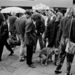 Soft Ice: A dog defecate on street beside his embbarassed owners