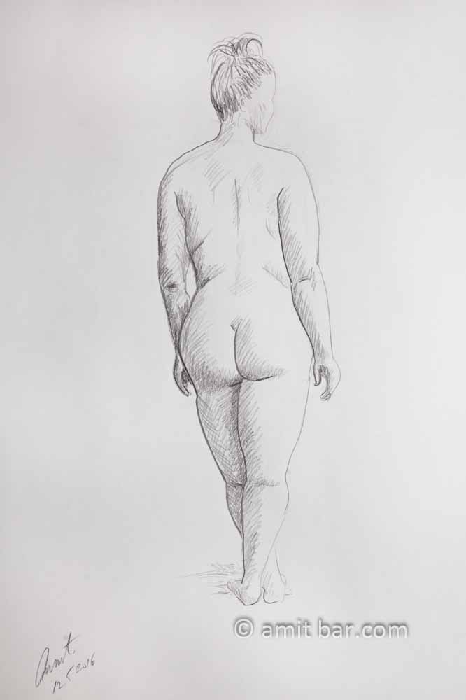 Standing nude model seen from behind. Pencil drawing