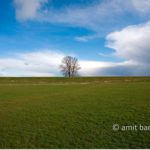 Storm cloud with a lonely tree