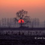 Sunset above frozen landscape at Vierakker, The Netherlands