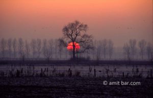 Sunset above frozen landscape at Vierakker, The Netherlands