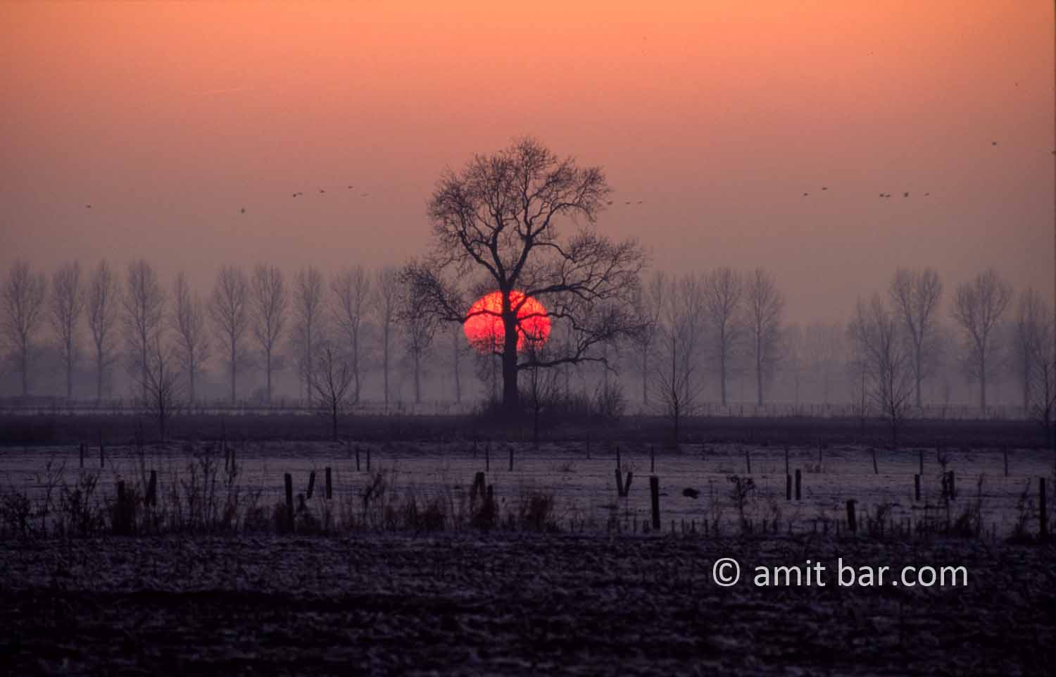 Sunset above frozen landscape at Vierakker, The Netherlands