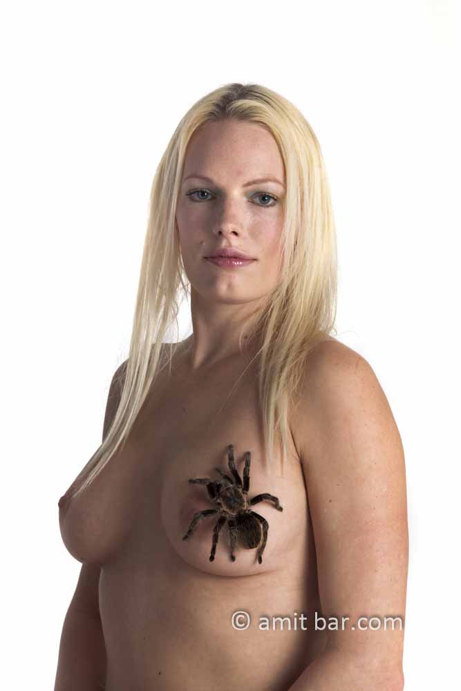 Tarantula spider: Tarantula on a model's breast