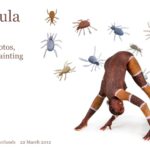 Tarantula video: Body-painted model with tarantula spiders. Another “Humans with Animals” creation, performed marvellously by Eline van Ark.