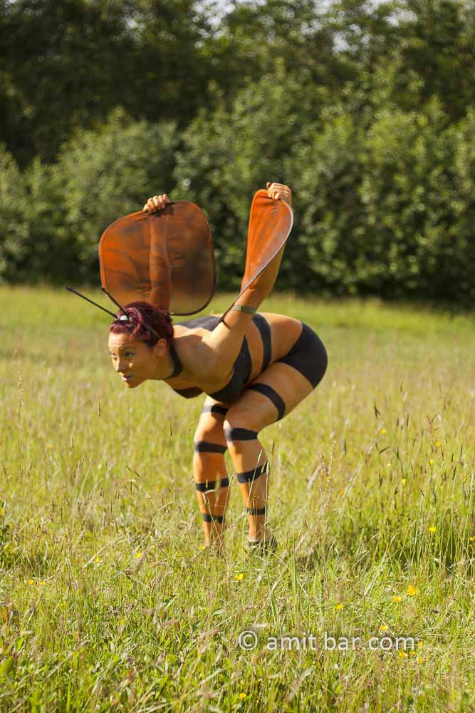 The bumblebee: Body-painted dancer in the nature