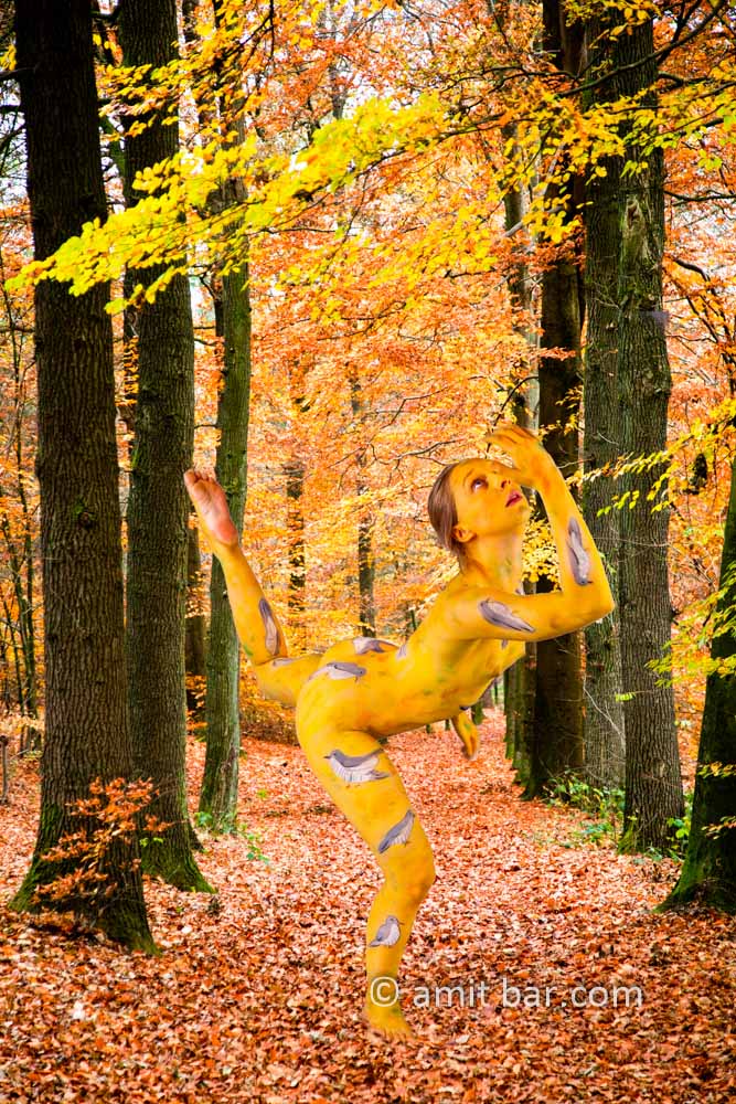 The Cuckoo I: body-painted dancer as a cuckoo is dancing in the forest