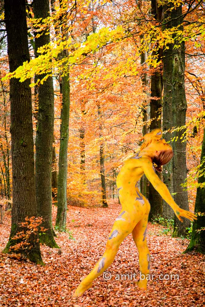 The Cuckoo II: body-painted dancer as a cuckoo is dancing in the forest