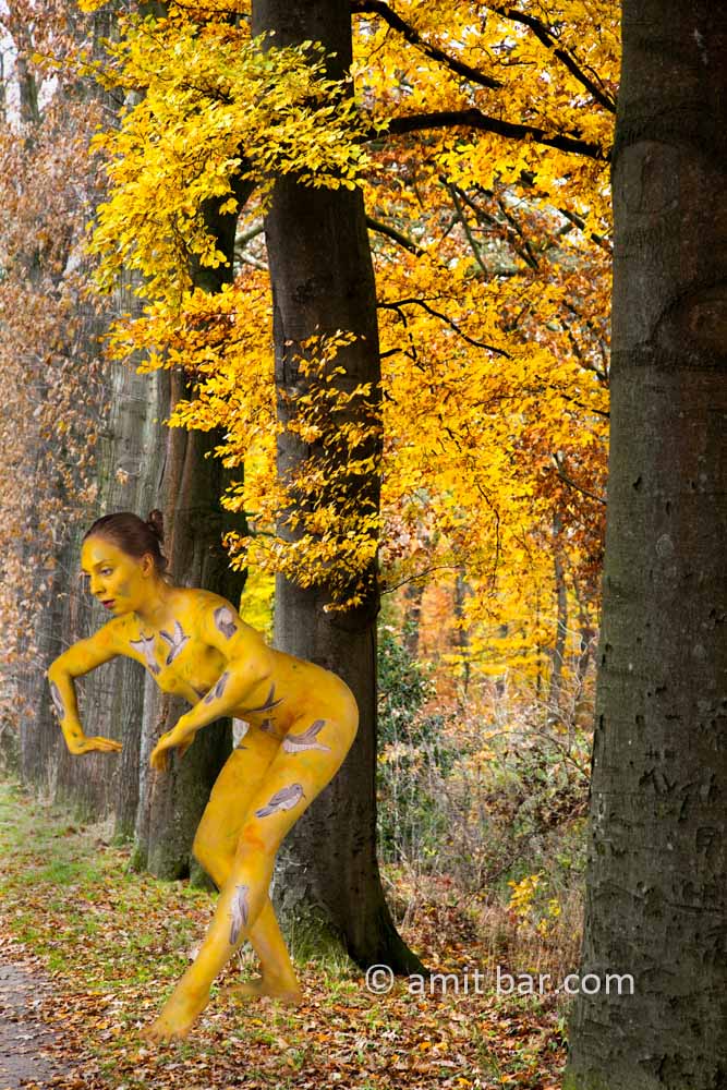 The Cuckoo III: body-painted dancer as a cuckoo is dancing in the forest