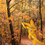 The Cuckoo IV: body-painted dancer as a cuckoo is dancing in the forest